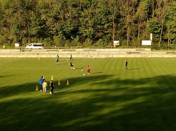 IMG_20170511_174938.jpg - 