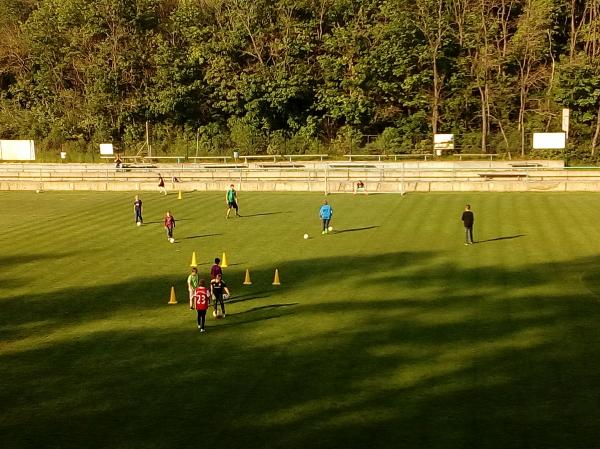 IMG_20170511_174950.jpg - 