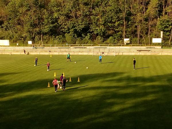 IMG_20170511_174951.jpg - 