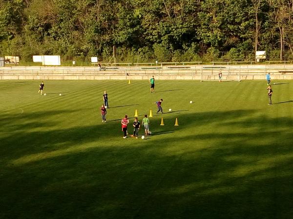 IMG_20170511_174958.jpg - 