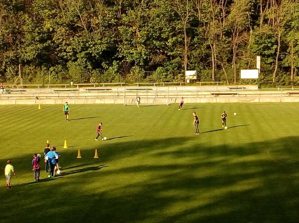 IMG_20170511_175040.jpg - 