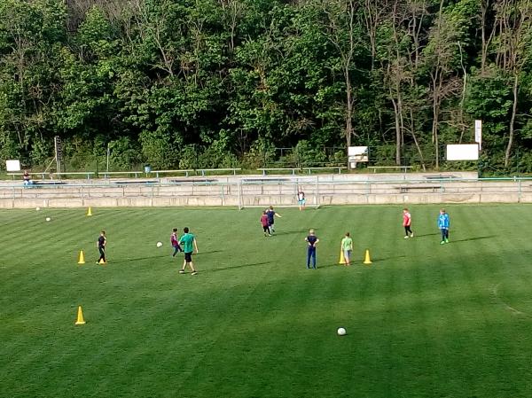 IMG_20170511_180452.jpg - 
