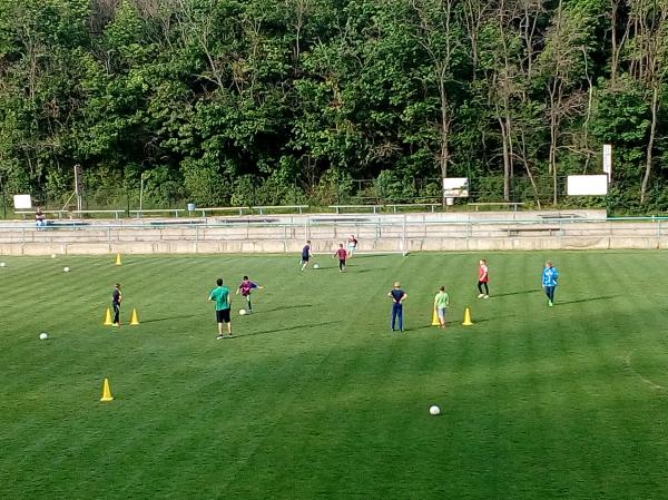 IMG_20170511_180453.jpg - 