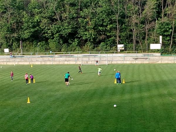 IMG_20170511_180515.jpg - 