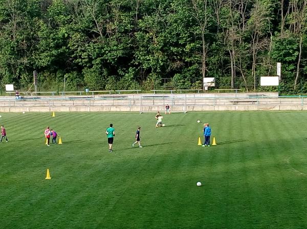 IMG_20170511_180517.jpg - 
