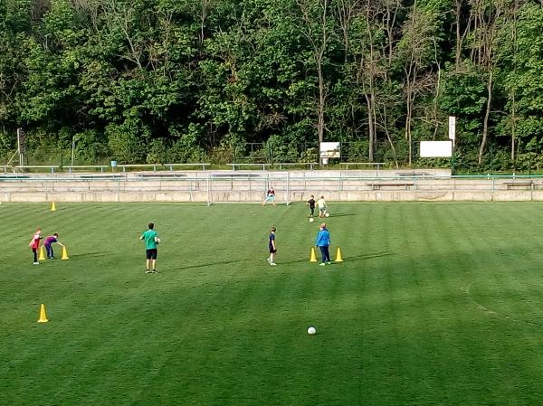 IMG_20170511_180519.jpg - 