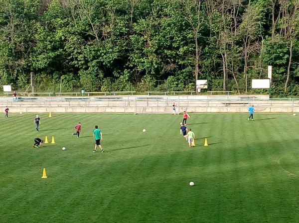 IMG_20170511_180545.jpg - 