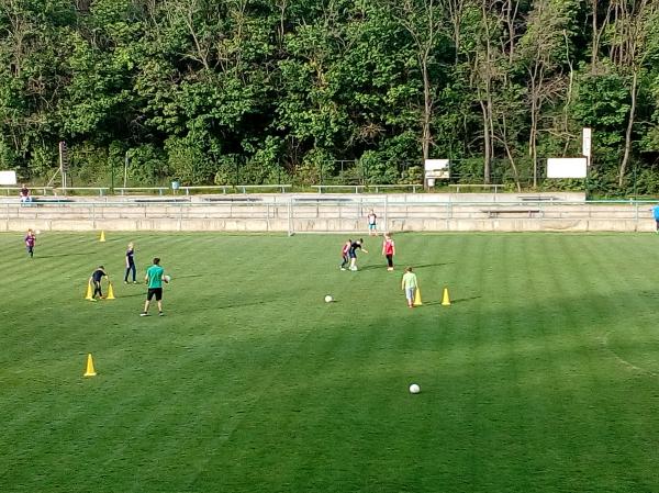 IMG_20170511_180549.jpg - 