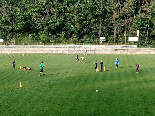 IMG_20170511_180610.jpg - 