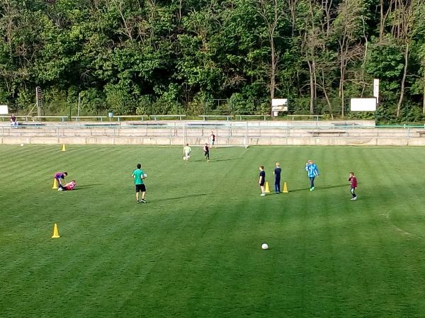 IMG_20170511_180611.jpg - 