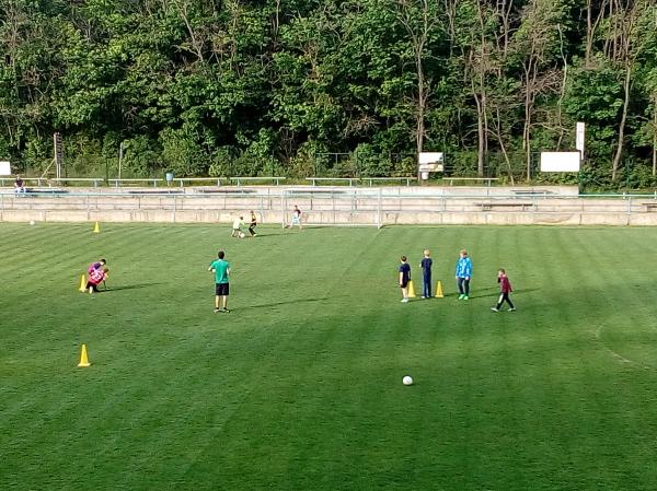 IMG_20170511_180613.jpg - 