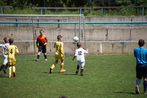 DSC07337.JPG - 