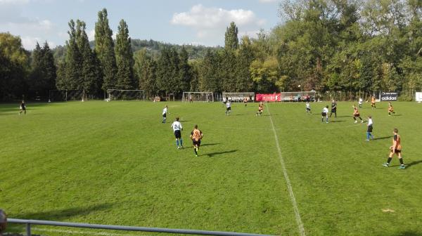 IMG_20170928_145929.jpg - 