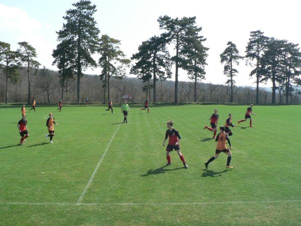 P1130158.JPG - 
