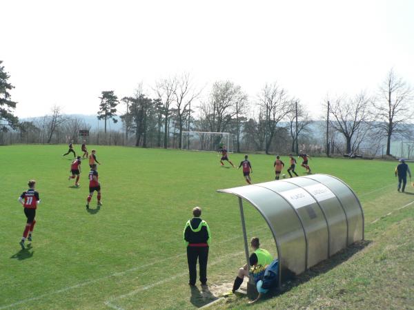 P1130159.JPG - 