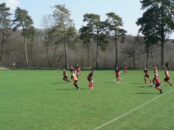 P1130266.JPG - 