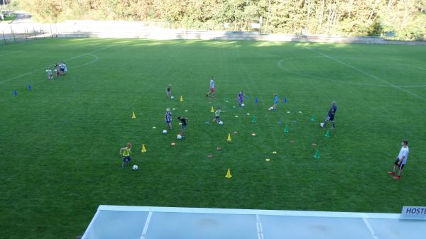 P1040330.JPG - 
