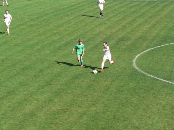 P1130321.JPG - 