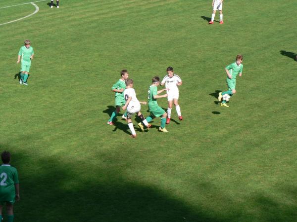 P1130358.JPG - 