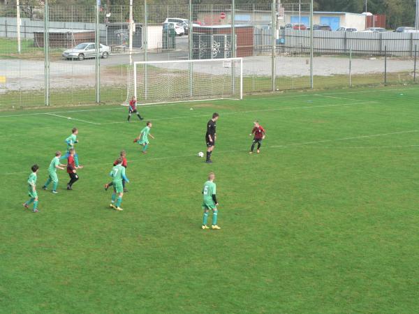 P1130445.JPG - 