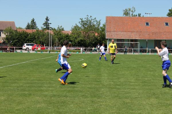 IMG_5662.JPG - 