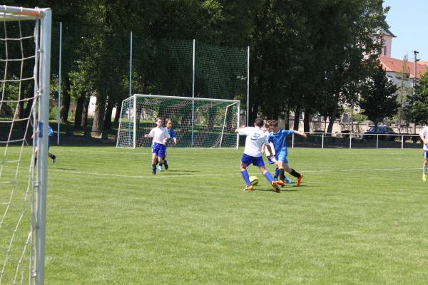 IMG_5666.JPG - 