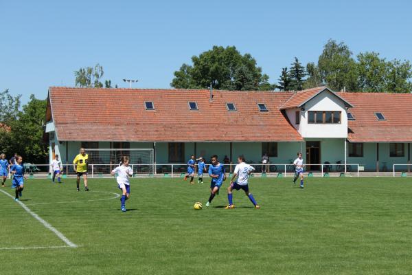 IMG_5668.JPG - 