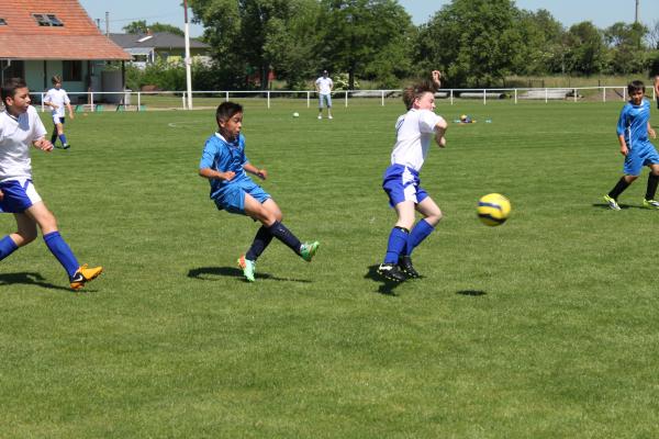 IMG_5673.JPG - 