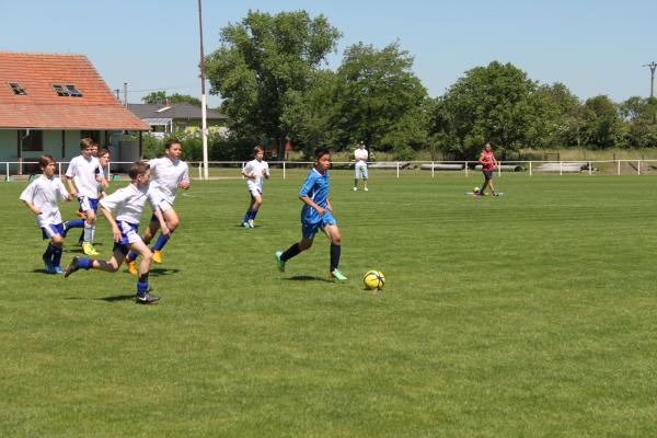 IMG_5674.JPG - 