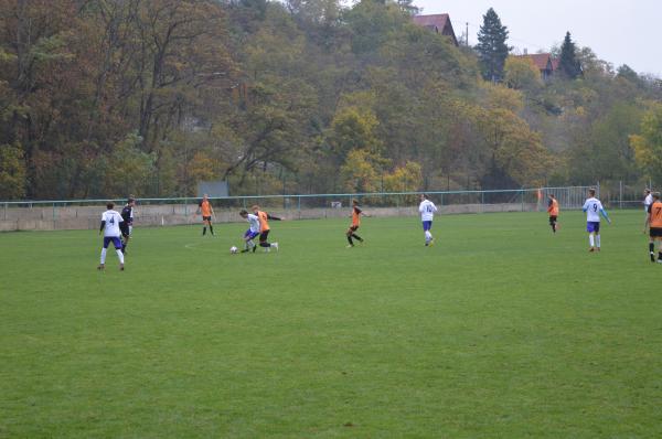 DSC_0690.JPG - 