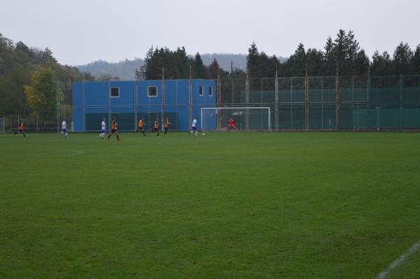 DSC_0709.JPG - 