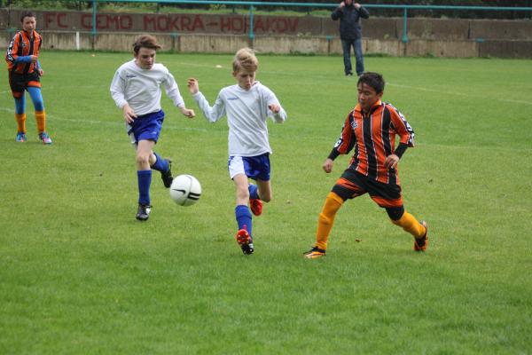 _f_86IMG_4964.jpg - 