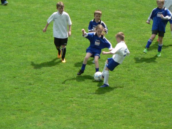 P1130644.JPG - 
