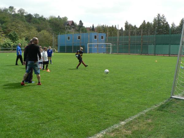 P1130652.JPG - 