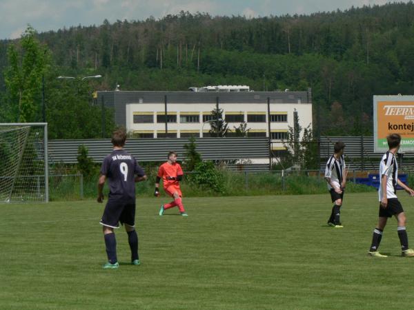 P1130662.JPG - 