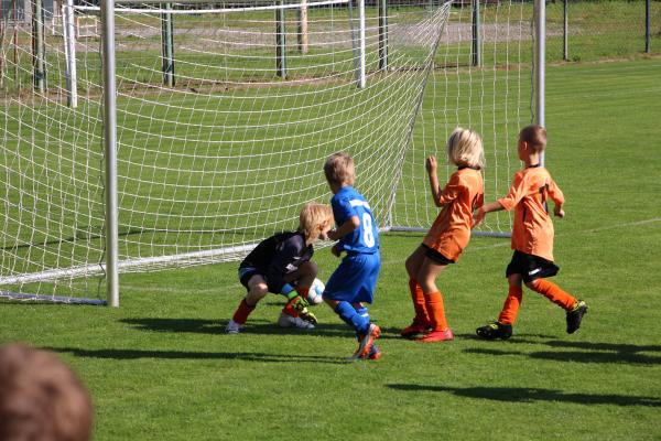 IMG_3317.JPG - 