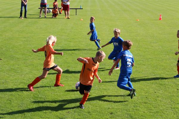IMG_3329.JPG - 