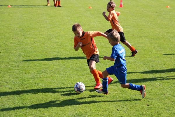 IMG_3341.JPG - 