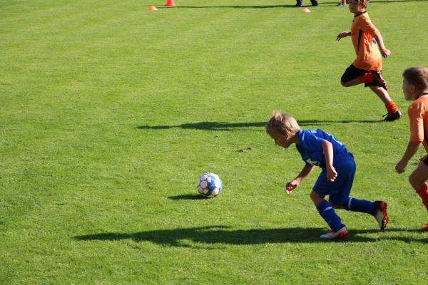 IMG_3345.JPG - 