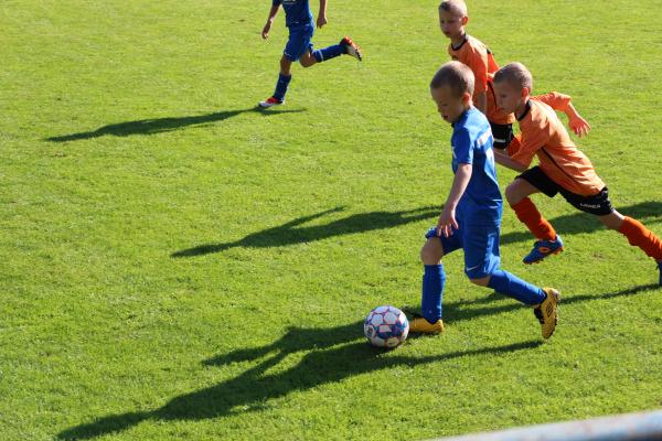 IMG_3374.JPG - 