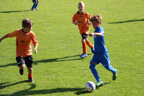 IMG_3409.JPG - 