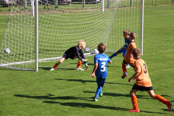 IMG_3412.JPG - 