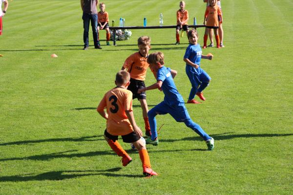IMG_3433.JPG - 