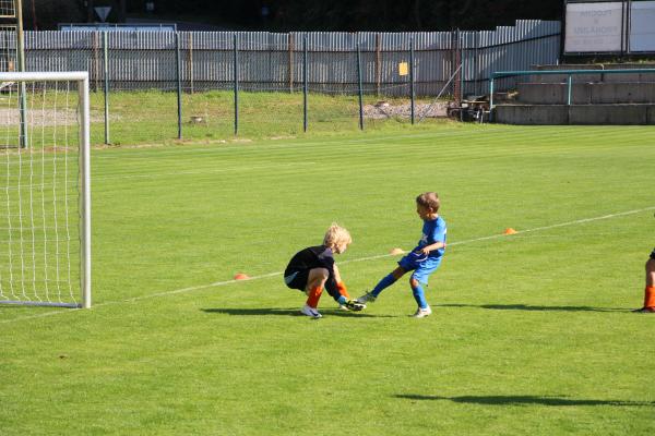 IMG_3446.JPG - 