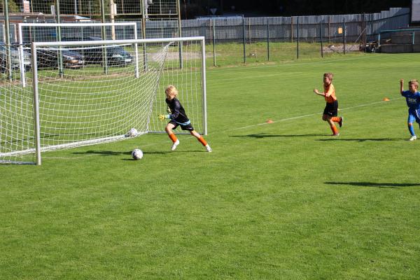 IMG_3473.JPG - 