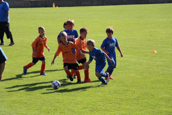 IMG_3489.JPG - 