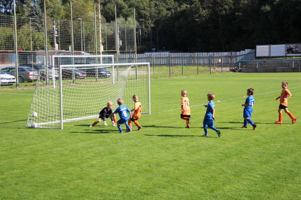 IMG_3502.JPG - 
