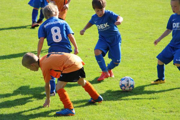 IMG_3504.JPG - 