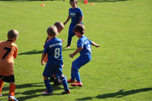 IMG_3506.JPG - 