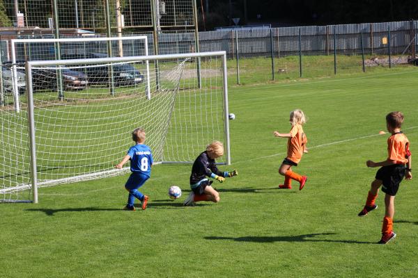 IMG_3512.JPG - 